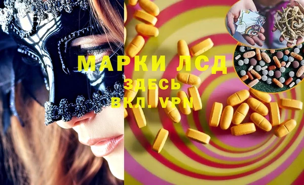 стафф Дмитриев