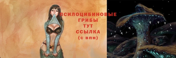 хмурый Дмитров