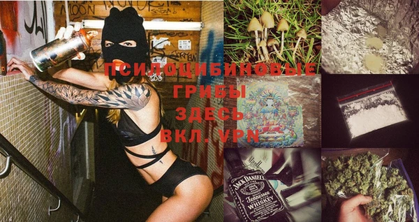 стафф Дмитриев