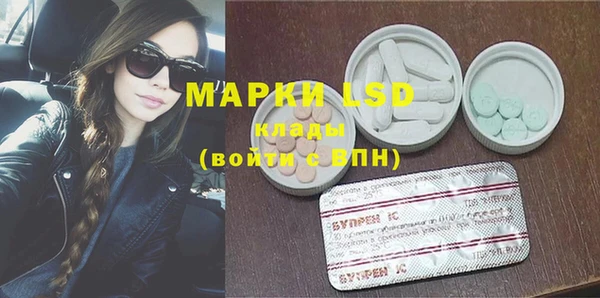 хмурый Дмитров