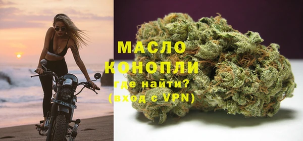 хмурый Дмитров