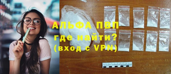 стафф Дмитриев