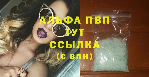 хмурый Дмитров