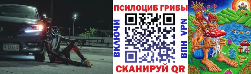 продажа наркотиков  Сочи  Галлюциногенные грибы MAGIC MUSHROOMS 